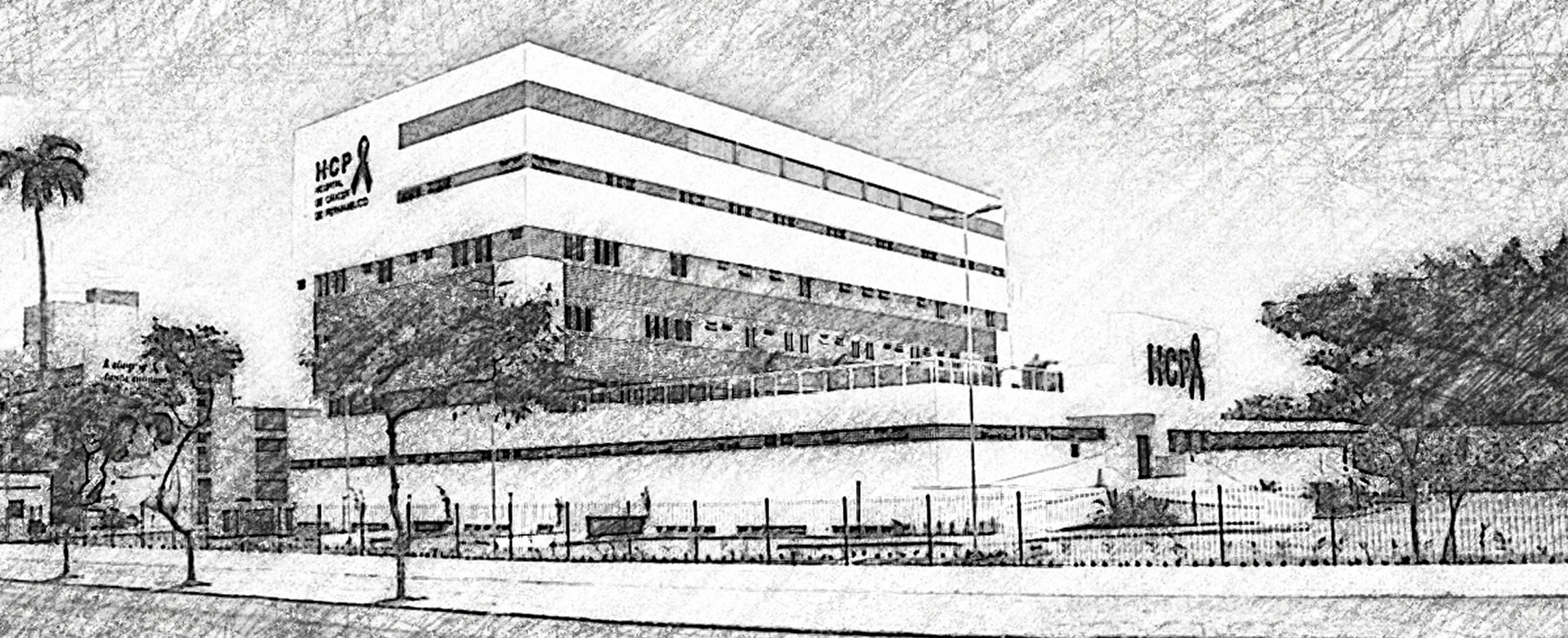 hcp-1